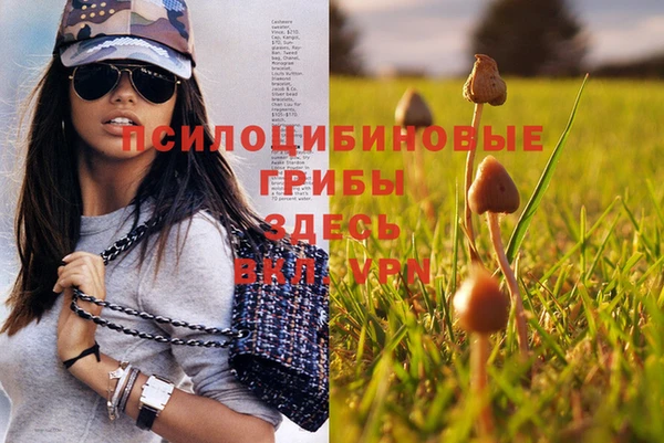 PSILOCYBIN Волоколамск